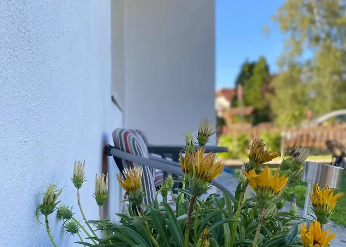 Апартаменты Bambus